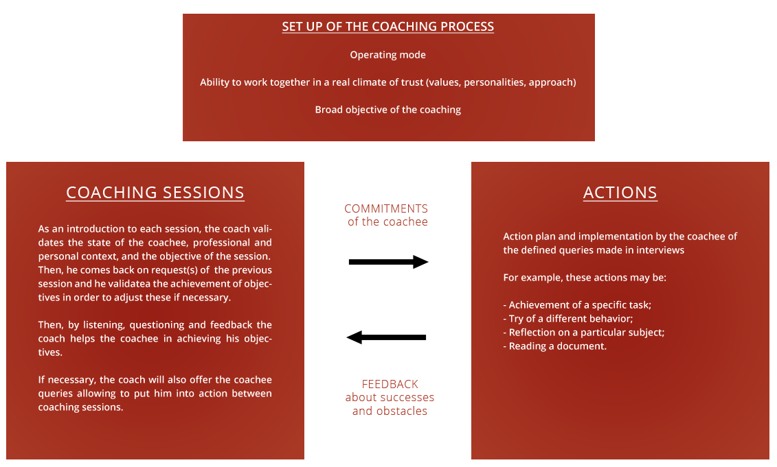 Business Coaching Methodology